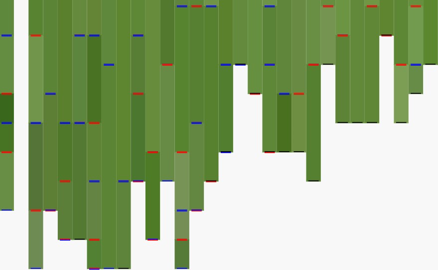 Image Segments Debug View Limb