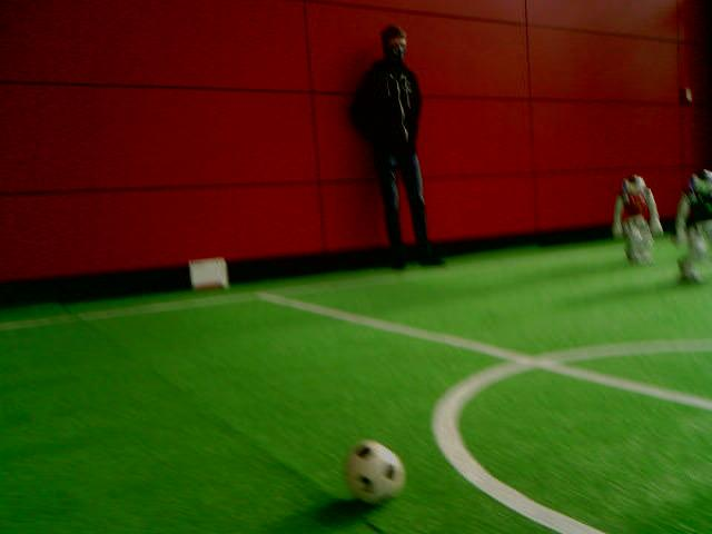 Robot soccer camera image