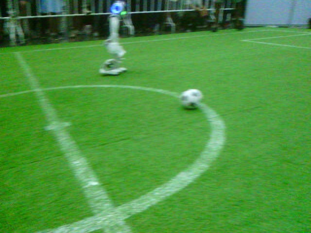 Robot soccer camera image with field line