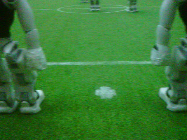 Robot soccer image with robots on the field
