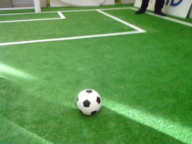 Robot soccer image with strong shadows